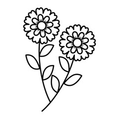 two flowers decorative spring image vector illustration outline design