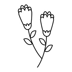two flowers decorative spring image vector illustration outline design