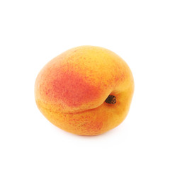 Single yellow plum isolated