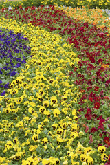 Beautiful flowerbed in summer park