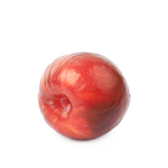 Red plum fruit isolated