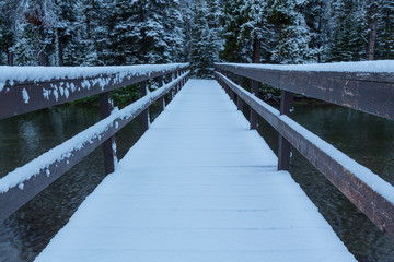 Obraz premium Winter in Glacier Park