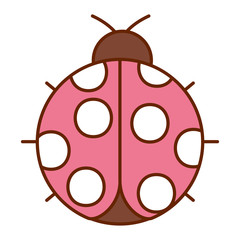 ladybug insect small icon animal vector illustration