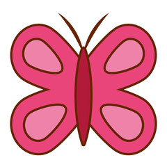 cute  butterfly wings insect decoration vector illustration