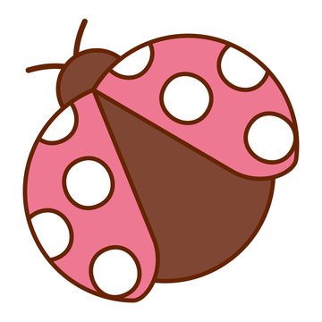 ladybug insect small icon animal vector illustration