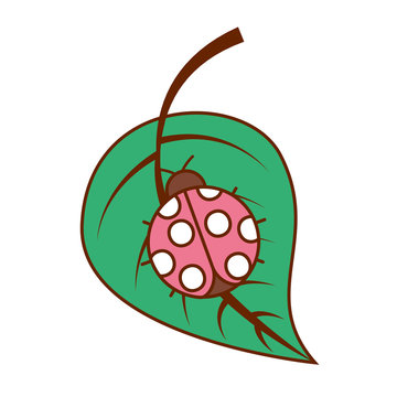 ladybug on leaf spring time vector illustration