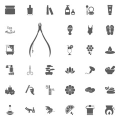 Nail clipper icon. Spa and Recreation vector set icons. Set of 33 spa icons.