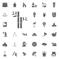 Bamboo icon. Spa and Recreation vector set icons. Set of 33 spa icons.