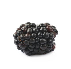 Single blackberry fruit isolated