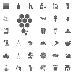 Honey icon. Spa and Recreation vector set icons. Set of 33 spa icons.