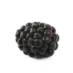 Single blackberry fruit isolated