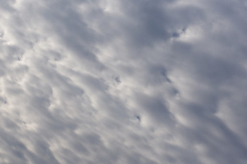 Lightnings in storm clouds. Peals of a thunder and the sparkling lightnings in clouds.