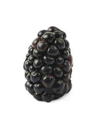 Single blackberry fruit isolated