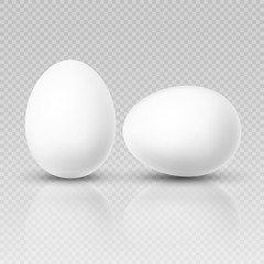 Realistic chicken egg. Vector template for easter decoration
