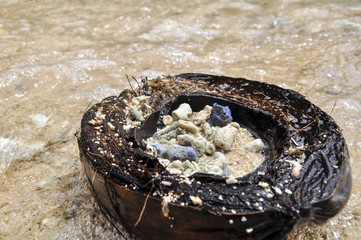 Half of the coconut on the beach (Половина кокоса на пляже)