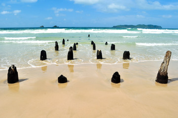 Old pier on the Nacpan Beach (Старый пирс на пляже Накпан)