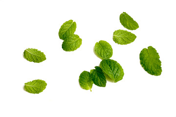 Mint leaves on white background,Herb cook