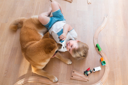 2 years old child playing with toy train at home, shiba inu dog sitting near boy, top view. Freindship lifestyle concept