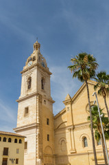 Fototapeta na wymiar Church tower and palm trees in Xativa