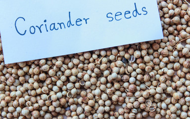 Organic Dried coriander seeds. Coriander seeds background.