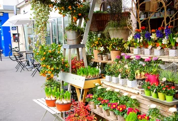 Foto auf Acrylglas Blumenladen Blumenladen im Freien auf der Pariser Straße. Cafétische und Fahrrad im Hintergrund. Paris, Frankreich). Sepia.