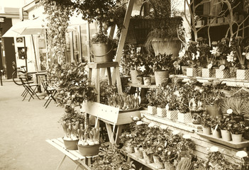 Outdoor flower shop on Parisian street. Cafe tables and bicycle at background. Paris (France). Sepia.