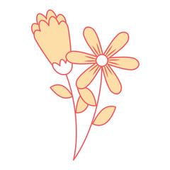 two flowers decorative spring image vector illustration