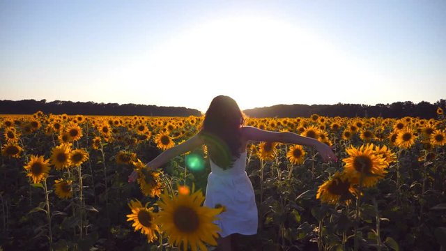 Young girl running along sunflowers field under blue sky at sunset. Sun shine at background. Follow to woman jogging at meadow and enjoying freedom. Rear back view Slow motion