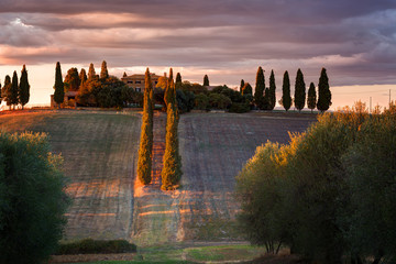 Wavy hills, sunset in Tuscany, Italy