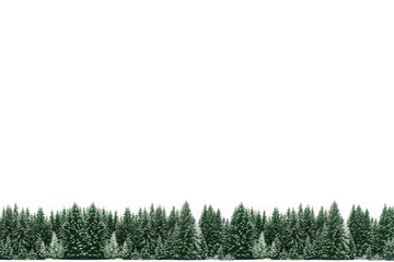 Border frame of spruce tree forest covered by fresh snow during Winter Christmas time and New Year...