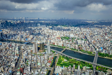 Fototapeta na wymiar Tokyo city skyline aerial view, Japan