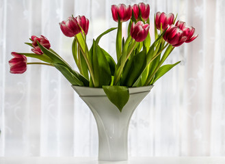Fototapeta na wymiar Tulpen zum Valentinstag