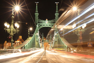 Fototapeta na wymiar liberty bridge of Budapest, Hungary