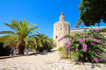 Fototapeta na wymiar Seville / Spain - Torre del Oro