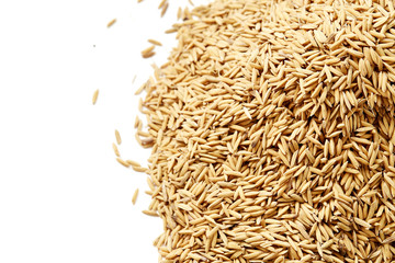 paddy rice on white Background