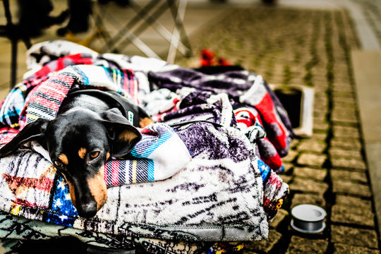 Frierende Bilder Durchsuchen 81 Archivfotos, und