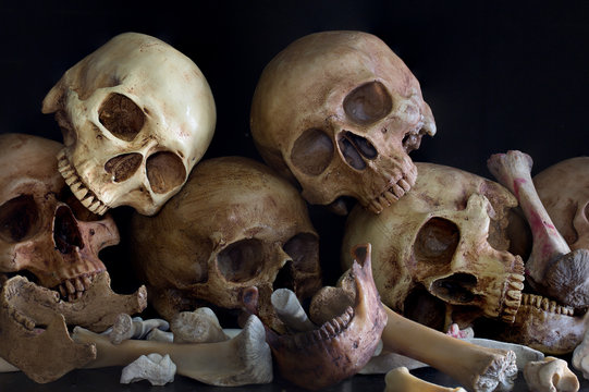 Pile of skulls and bones on black background