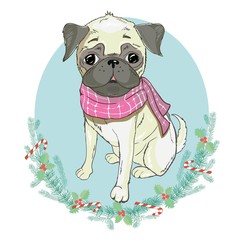 Portrait of cute french bulldog in red christmas hat on blue background. Vector illustration. Santa Claus. New Year's and Christmas.