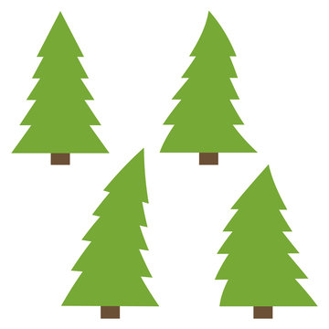 Set of four green pines on a white background. Vector illustration
