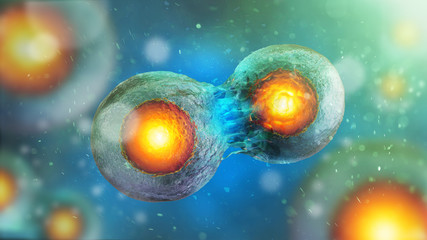 Cell embryo, Mitosis under microscope. 3D illustration - obrazy, fototapety, plakaty
