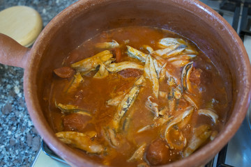 tomato sauce with anchovies cooked in terracotta pot