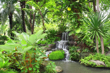 Waterfall in tropical garden - obrazy, fototapety, plakaty