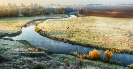 autumn morning. foggy dawn near a picturesque river