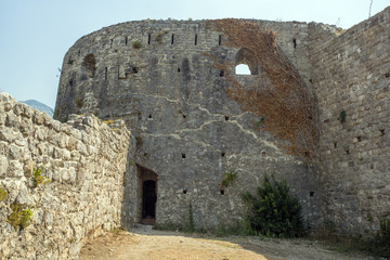 design of a plant on a stone wall of a fortress