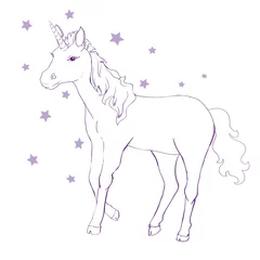 Foto op Canvas Unicorn vector icon isolated on white. Head portrait horse sticker, patch badge. Cute magic cartoon fantasy cute animal. Rainbow hair. Dream symbol. Design for children © kolesnikov90
