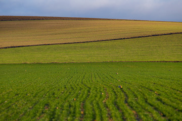 Fototapeta premium Layers of a Farm Field, Avila, Spain.