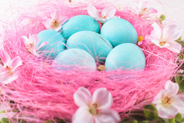 Easter eggs in a pink nest. Blue or turquoise chicken eggs on white wooden background. Pink feather, green plant, flowers