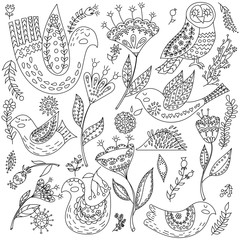 Coloring book fol adults. Folk set vector blask and whit illustration with beautiful birds and flowers. Scandinavian style. © olesiaagudova