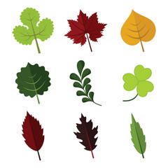 Various Floral Element Leaves Vector Illustration Graphic Set