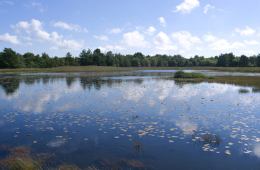 Laesoe / Denmark: View over Kaerene moorland with Birkemose moor lake